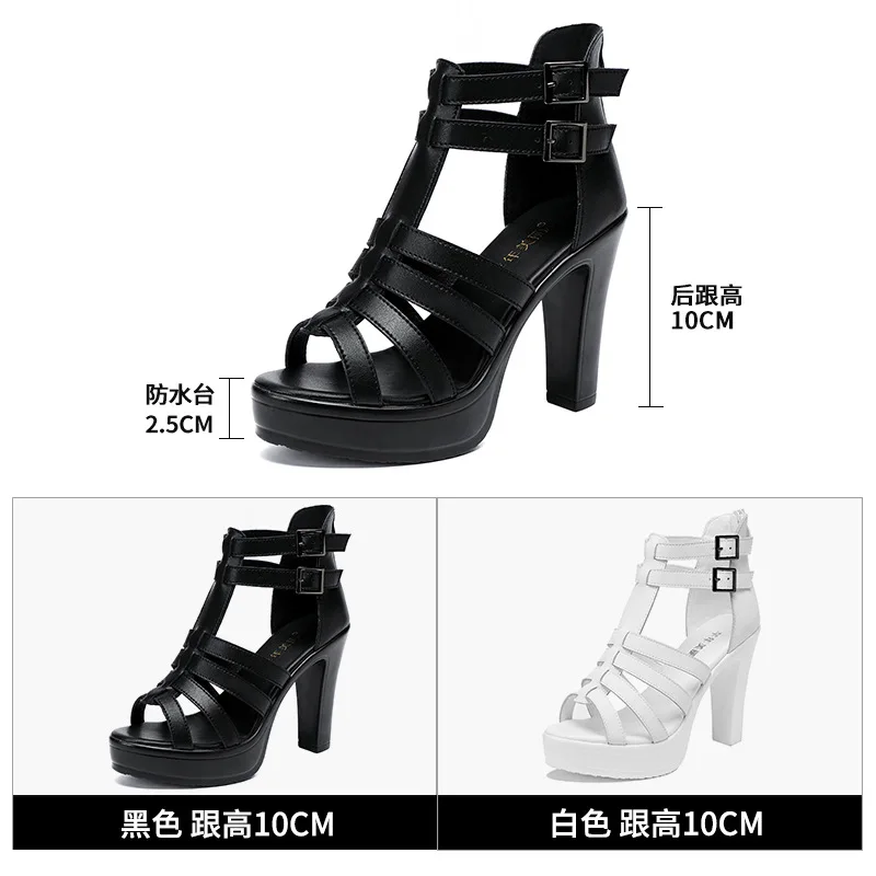 Gladiator Ladies Shoe for Wome - Gladiator Sandal Women ulasan dan harga